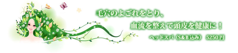 毛穴のよごれをとり、血流を整えて頭皮を健康に！ヘッドスパ（S＆B込み）　5250円